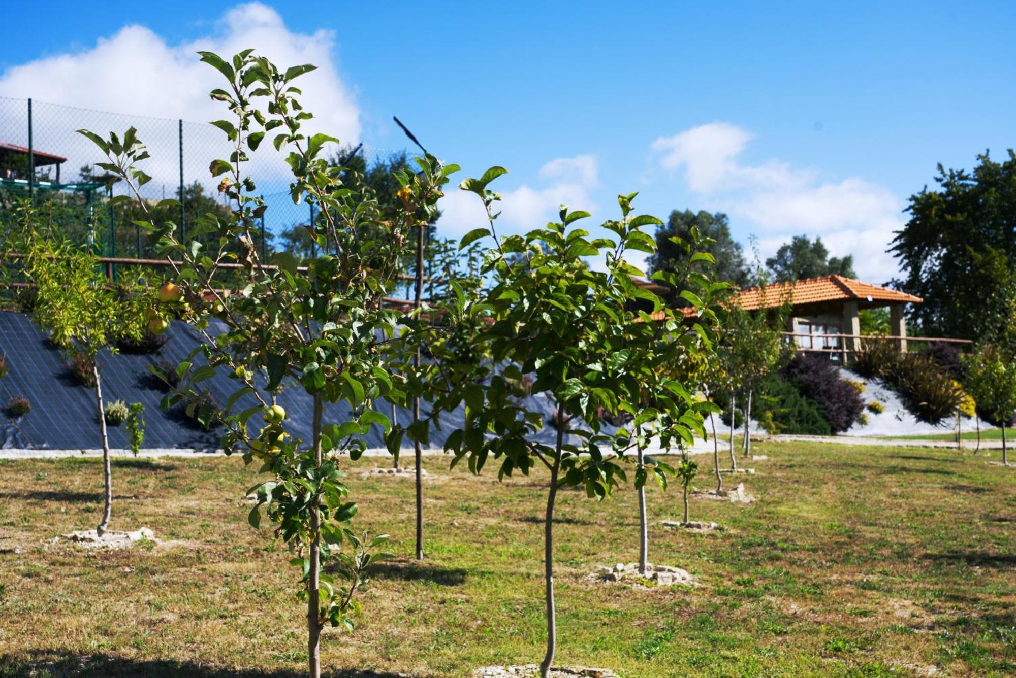 סלוריקו דה באשטו Villa Ramiro מראה חיצוני תמונה